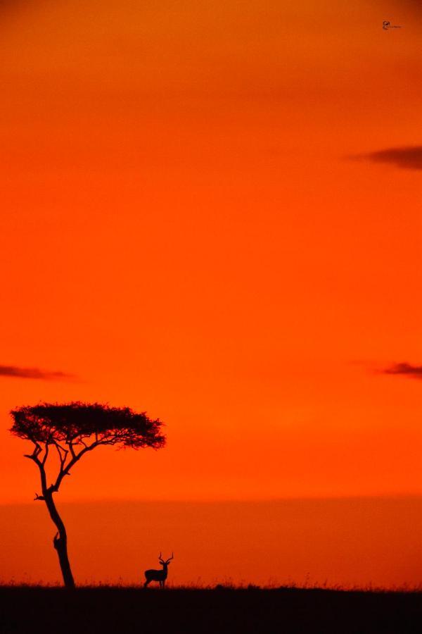 ホテル Lorian Safari Camp Limited Narok エクステリア 写真